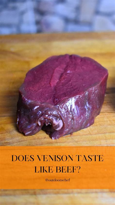 Unveiling the Enchantment of Venison Preparation: A Journey from the Wilderness to the Plate