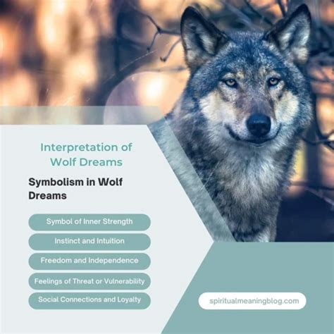 Unveiling the Enigmatic Realm of Wolf Dreams: Deciphering their Hidden Messages