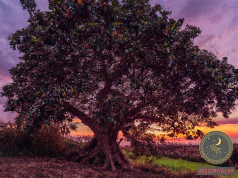 Unveiling the Enigmatic Significance of Dreams Involving Fig Trees