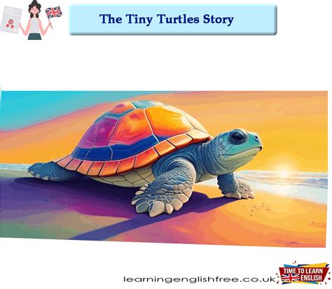 Unveiling the Extraordinary Life Cycle of Turtles: A Marvelous Journey from Tiny Hatchlings to Majestic Giants