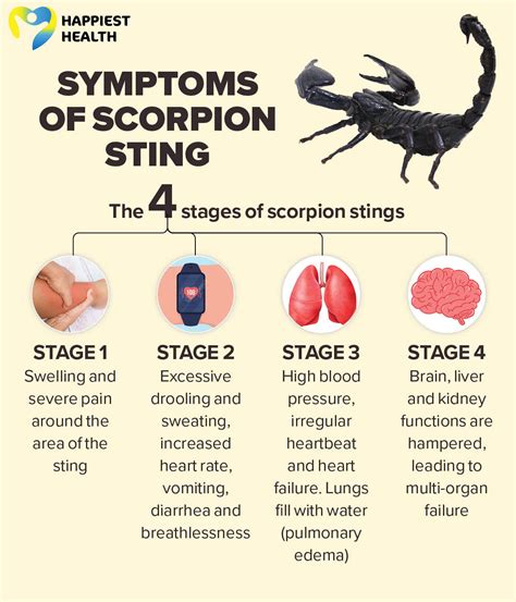 Unveiling the Fear and Anxiety Associated with Scorpion Stings