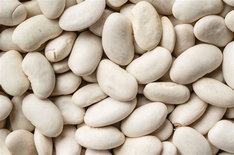 Unveiling the Health Perks of White Beans