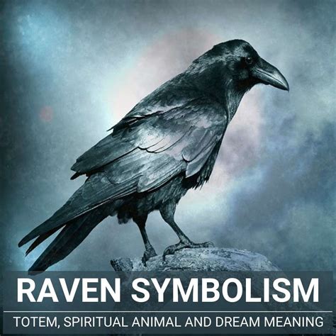 Unveiling the Hidden Meanings: The Significance of a Midnight Raven Perched in Your Abode