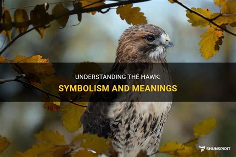 Unveiling the Hidden Meanings: Understanding Symbolism in Hawk Dreams