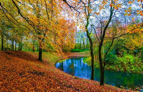 Unveiling the Hidden Meanings of Autumn Fantasies: Reflecting on the Symbolism of Gathering Fallen Foliage