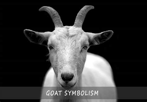 Unveiling the Hidden Messages in the Goat Head Imagery