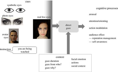 Unveiling the Importance of Direct Gaze during Dreams