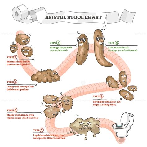 Unveiling the Insights: How Your Dreams about Excreting a Large Stool Can Offer Valuable Clues about Your Well-being