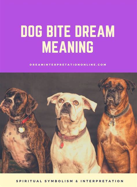 Unveiling the Interpretation and Messages of Canine Bites within the Realm of Dreams