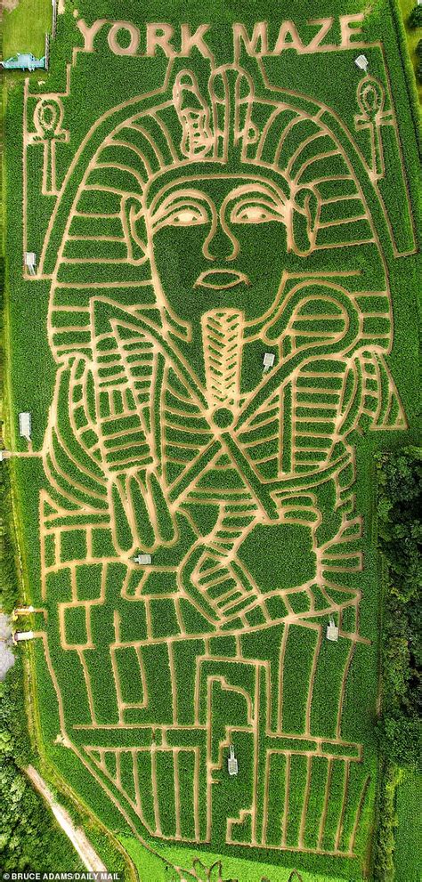 Unveiling the Intricacies of Maize Mazes