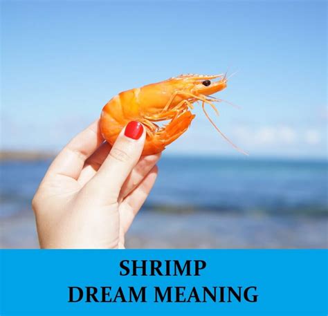 Unveiling the Intricate Symbolism behind Dreams of a Person Catching Shrimp