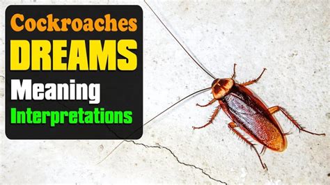 Unveiling the Intricate Symbolism of Roaches in Dreams