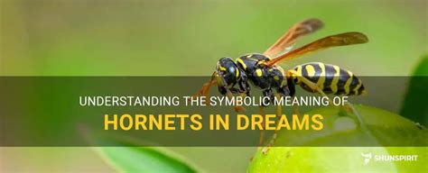 Unveiling the Intriguing Symbolism of Hornets in Dreams