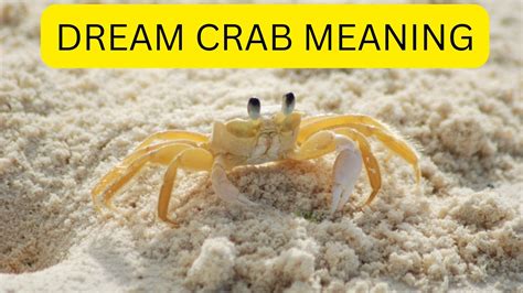 Unveiling the Meaning: Techniques to Decipher and Unravel Crab-Filled Dreams