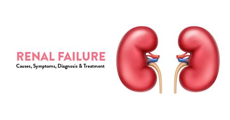 Unveiling the Meaning of Kidney Failure in the realm of Dream Analysis