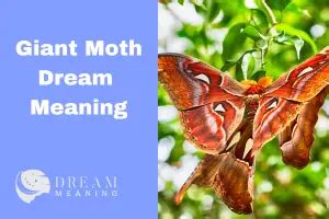 Unveiling the Meaningful Messages Concealed within Moth Dreams