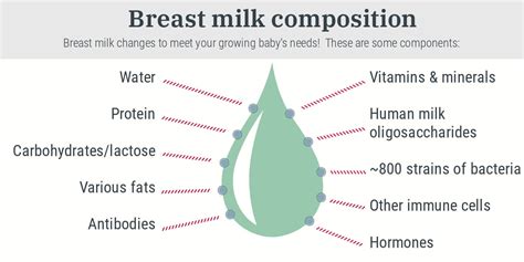 Unveiling the Mysteries of Breast Milk Composition