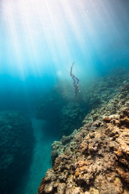 Unveiling the Mystery of Bioluminescent Marine Life