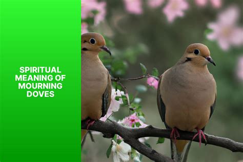 Unveiling the Mystical Significance of Doves in Different Cultures