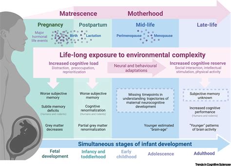 Unveiling the Potential Psychological Impact of Pregnancy Reveries on Soon-to-Be Mothers