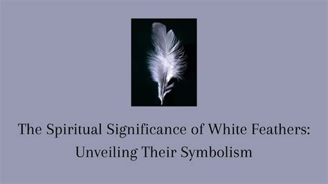 Unveiling the Profound Connection between Feather Reveries and Spiritual Awakening