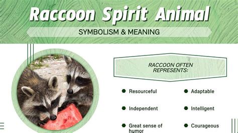 Unveiling the Profound Symbolic Significance behind Raccoon Mystical Reveries