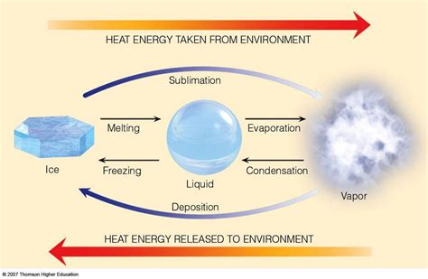 Unveiling the Psychological Significance of Experiencing Immersion in Heated Liquid