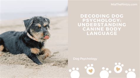 Unveiling the Psychological Significance of Overcoming Canine Encounters