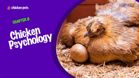 Unveiling the Psychological Significance of Poultry Aggression in Oneiric Encounters