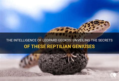 Unveiling the Secrets of Reptilian Reveries