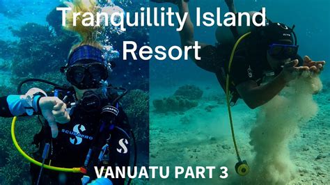 Unveiling the Secrets of Tranquility: Exploring Peaceful Island Sanctuaries