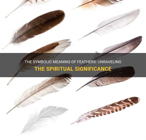 Unveiling the Significance of Dreams: Unraveling the Symbolic Essence of Feather-Induced Choking