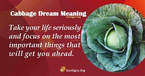 Unveiling the Significance of Dreams Involving Cabbages