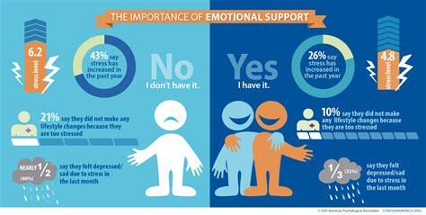 Unveiling the Significance of Emotional Support for Observers