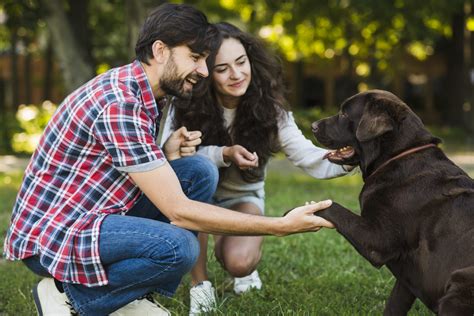 Unveiling the Significance of Size: Why is the Canine Companion Small?