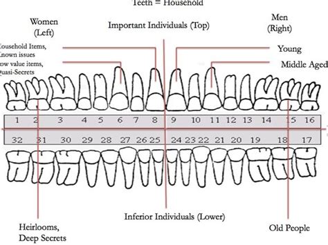 Unveiling the Significance of Teeth in Dream Analysis