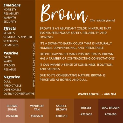 Unveiling the Significance of the Color Brown in Dream Deciphering