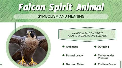 Unveiling the Spiritual Meanings and Messages of the Scarlet Falcon in Dreams