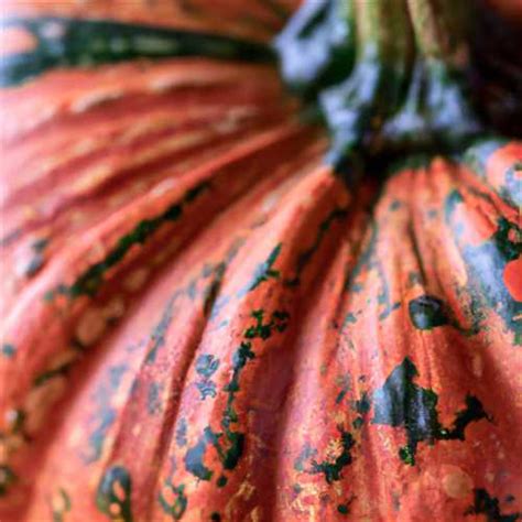 Unveiling the Symbolic Significance of Pumpkins in Dreams