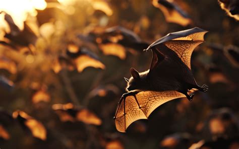 Unveiling the Symbolism: What Bats Represent in Dreams