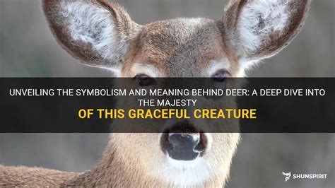 Unveiling the Symbolism Behind Encountering a Majestic Deer in Your Dream