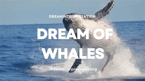 Unveiling the Symbolism Behind Whales' Dreaming Throughout the Maternal Journey