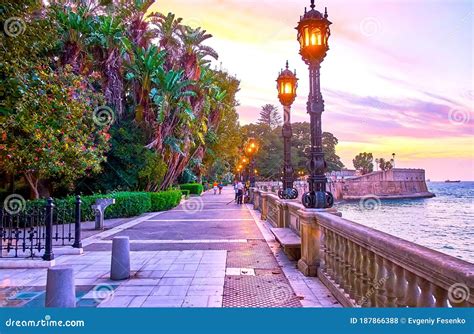 Unveiling the Symbolism in Dreams of a Serene Evening at Alameda Garden