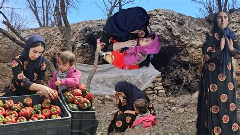 Unyielding Commitment to Support Her Mother