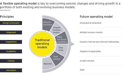 Upcoming Ventures of the Model