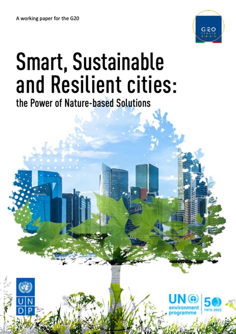 Urban Planning for Resilience: Building for the Future