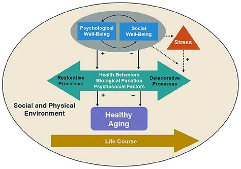 Utilizing Dreams for Enhancing Psychological Well-being in Aging Individuals