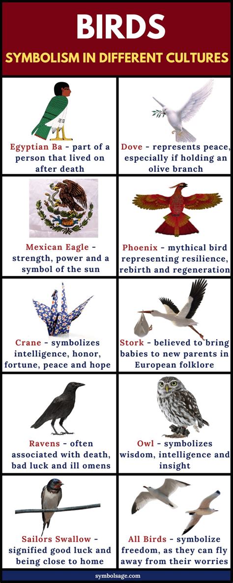 Various Bird Species in Dreams and their Symbolic Significance