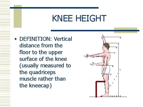 Vertical Dimension: Dorina's Physical Stature