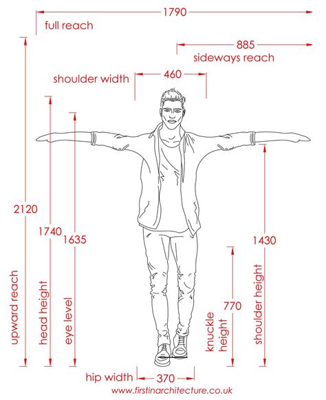 Vertical Dimension of the Person